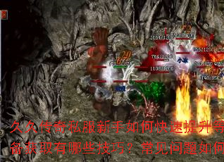�þô���˽��������ο��������ȼ���װ����ȡ����Щ���ɣ�����������ν����