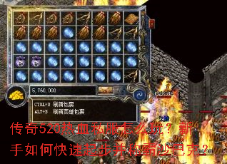 ����520��Ѫ˽����ô�棿������ο����𲽲��ư�ɳ�Ϳˣ�
