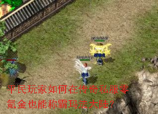 ƽ���������ڴ���˽����봽�Ҳ�ܳư��귨��½��