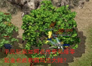 ƽ���������ڴ���˽����봽�Ҳ�ܳư��귨��½��