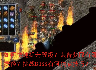 ��ο��������ȼ���װ����ȡ����Щ�ݾ�����սBOSS�кζ��Ҽ��ɣ�