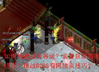 ��ο��������ȼ���װ����ȡ����Щ�ݾ�����սBOSS�кζ��Ҽ��ɣ�