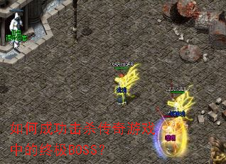 ��γɹ���ɱ������Ϸ�е��ռ�BOSS��