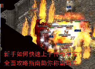 新手如何快速上手传奇宝宝?全面攻略指南助你称霸玛法 新手如何快速上手传奇宝宝?全面攻略指南助你称霸玛法