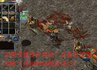 ��ο��������ȼ���װ����ȡȫ���ԣ��ռ�BOSS��ս���ɣ�