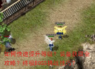 ��ο��������ȼ���װ����ȡȫ���ԣ��ռ�BOSS��ս���ɣ�