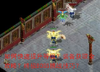 如何快速提升等级?装备获取全攻略?终极BOSS挑战技巧? 如何快速提升等级?装备获取全攻略?终极BOSS挑战技巧?