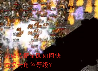 虎威传奇辅助如何快速提升角色等级? 虎威传奇辅助如何快速提升角色等级?