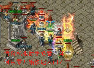 传奇私服新手必看:如何从零开始快速入门? 传奇私服新手必看:如何从零开始快速入门?