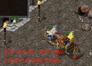 新玩家必看?赤月传说2快速升级攻略大揭秘 新玩家必看?赤月传说2快速升级攻略大揭秘