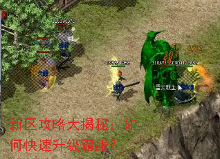 新区攻略大揭秘:如何快速升级霸服? 新区攻略大揭秘:如何快速升级霸服?