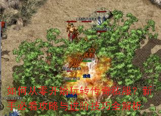 如何从零开始玩转传奇私服?新手必看攻略与进阶技巧全解析 如何从零开始玩转传奇私服?新手必看攻略与进阶技巧全解析
