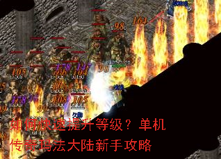 如何快速提升等级?单机传奇玛法大陆新手攻略 如何快速提升等级?单机传奇玛法大陆新手攻略