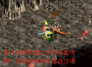 ������ο�������95�ϻ����棿�����Դ�����սɳ��