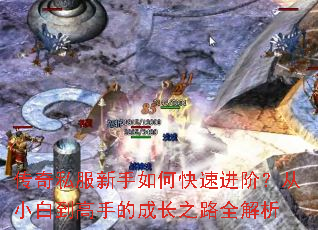 传奇私服新手如何快速进阶?从小白到高手的成长之路全解析 传奇私服新手如何快速进阶?从小白到高手的成长之路全解析