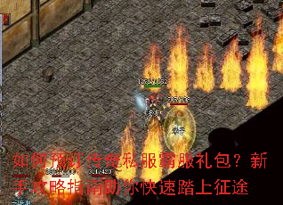 ���Ԥ������˽���Է���������ֹ���ָ���������̤����;