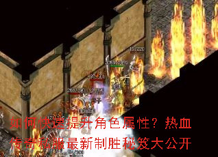 如何快速提升角色属性?热血传奇私服最新制胜秘笈大公开 如何快速提升角色属性?热血传奇私服最新制胜秘笈大公开