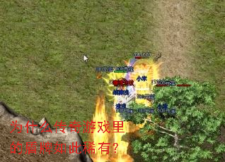 为什么传奇游戏里的盾牌如此稀有? 为什么传奇游戏里的盾牌如此稀有?
