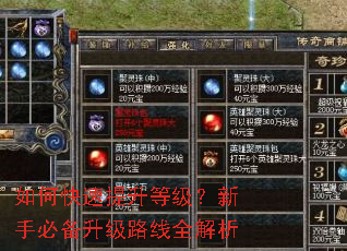如何快速提升等级?新手必备升级路线全解析 如何快速提升等级?新手必备升级路线全解析