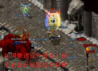 如何快速提升等级?新手必备升级路线全解析 如何快速提升等级?新手必备升级路线全解析