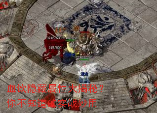 血饮隐藏属性大揭秘?你不知道的实战妙用 血饮隐藏属性大揭秘?你不知道的实战妙用