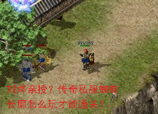 �������ڣ�����˽��֩�볤����ô�����ͨ�أ�