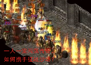 一人一宠闯荡传奇,如何携手征战沙场? 一人一宠闯荡传奇,如何携手征战沙场?