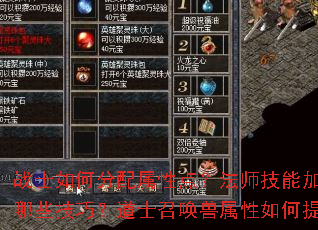 战士如何分配属性点?法师技能加点有哪些技巧?道士召唤兽属性如何提升? 战士如何分配属性点?法师技能加点有哪些技巧?道士召唤兽属性如何提升?