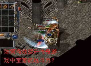 如何有效提升传奇游戏中宝宝的战斗力? 如何有效提升传奇游戏中宝宝的战斗力?