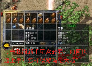 传奇私服新手玩家必看:如何快速上手?怎样畅游玛法大陆? 传奇私服新手玩家必看:如何快速上手?怎样畅游玛法大陆?