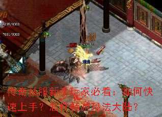 传奇私服新手玩家必看:如何快速上手?怎样畅游玛法大陆? 传奇私服新手玩家必看:如何快速上手?怎样畅游玛法大陆?