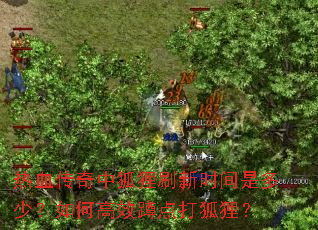 热血传奇中狐狸刷新时间是多少?如何高效蹲点打狐狸? 热血传奇中狐狸刷新时间是多少?如何高效蹲点打狐狸?