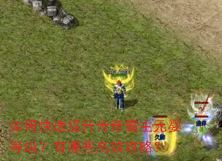 如何快速提升传奇霸主元婴等级?有哪些高效攻略? 如何快速提升传奇霸主元婴等级?有哪些高效攻略?