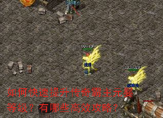 如何快速提升传奇霸主元婴等级?有哪些高效攻略? 如何快速提升传奇霸主元婴等级?有哪些高效攻略?
