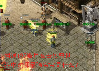 网通195皓月合击传奇世界中法师最强宝宝是什么? 网通195皓月合击传奇世界中法师最强宝宝是什么?