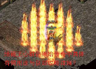 地藏王心脏在原始传奇中具体有何用途与获取攻略详解? 地藏王心脏在原始传奇中具体有何用途与获取攻略详解?