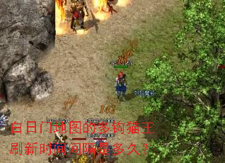 白日门地图的多钩猫王刷新时间间隔是多久? 白日门地图的多钩猫王刷新时间间隔是多久?
