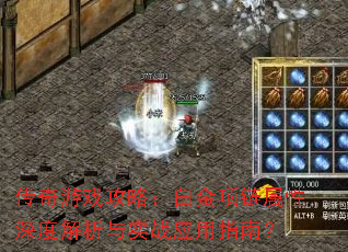 ������Ϸ���ԣ��׽�����������Ƚ�����ʵսӦ��ָ�ϣ�