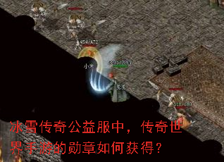 冰雪传奇公益服中,传奇世界手游的勋章如何获得? 冰雪传奇公益服中,传奇世界手游的勋章如何获得?