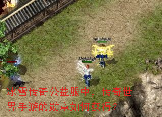 冰雪传奇公益服中,传奇世界手游的勋章如何获得? 冰雪传奇公益服中,传奇世界手游的勋章如何获得?