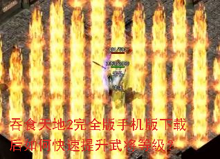 ��ʳ���2��ȫ���ֻ������غ���ο��������佫�ȼ���