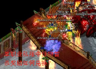��ְҵ˽���й�����ɱ������ζһ���