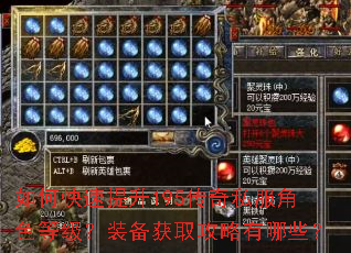 如何快速提升195传奇私服角色等级?装备获取攻略有哪些? 如何快速提升195传奇私服角色等级?装备获取攻略有哪些?