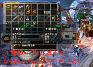 如何在cqsf私服发布网1.85版本中快速提升角色等级? 如何在cqsf私服发布网1.85版本中快速提升角色等级?