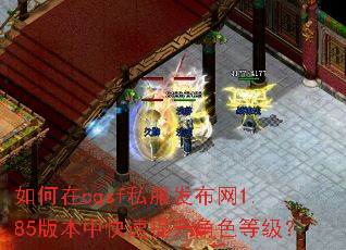 如何在cqsf私服发布网1.85版本中快速提升角色等级? 如何在cqsf私服发布网1.85版本中快速提升角色等级?