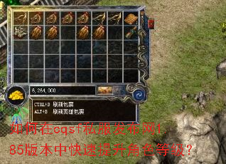 如何在cqsf私服发布网1.85版本中快速提升角色等级? 如何在cqsf私服发布网1.85版本中快速提升角色等级?
