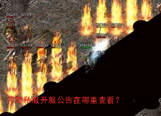 ����˽����������������鿴��