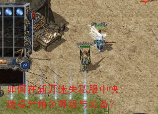 如何在新开迷失私服中快速提升角色等级与装备? 如何在新开迷失私服中快速提升角色等级与装备?