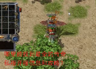 哪里能找到最全的传奇私服开服信息和攻略? 哪里能找到最全的传奇私服开服信息和攻略?