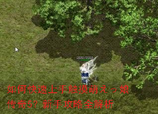 如何快速上手触摸萌えっ娘传奇5?新手攻略全解析 如何快速上手触摸萌えっ娘传奇5?新手攻略全解析